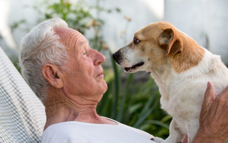 Elderly man reclining outdoors, looking into the eyes of a small brown and white dog on his chest.